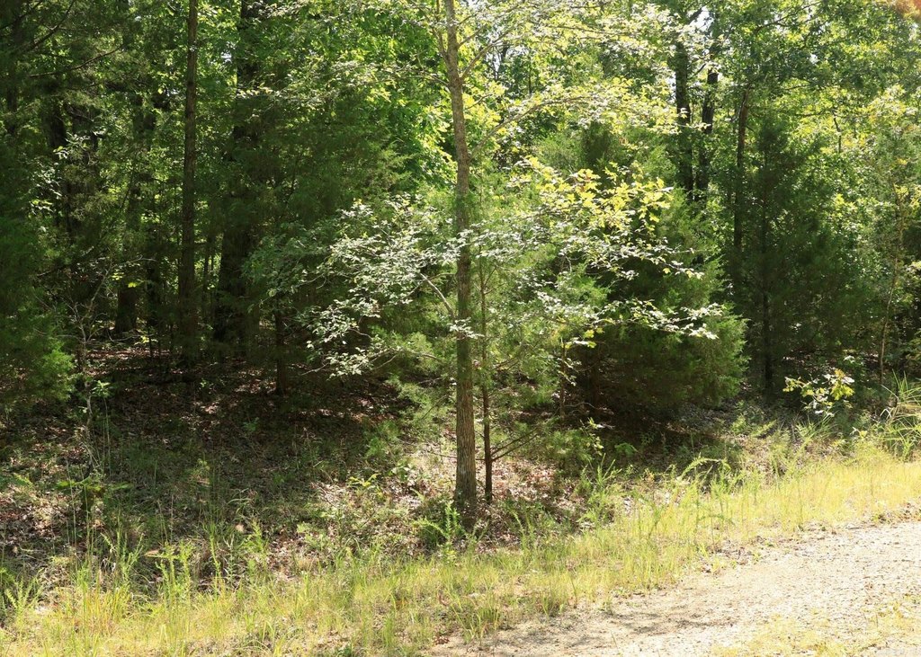 Picture 5