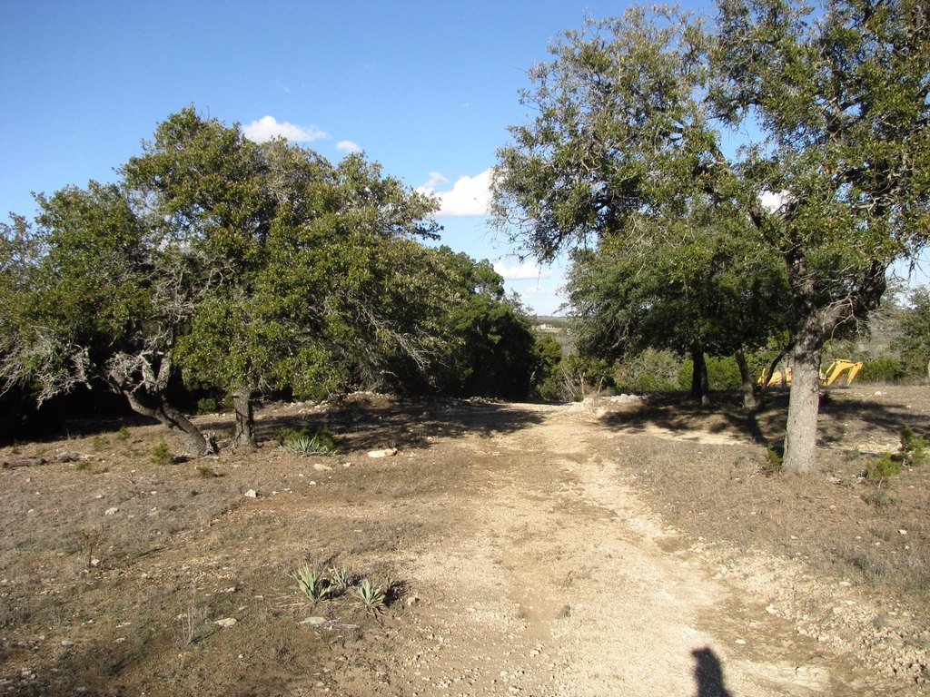 Picture 11