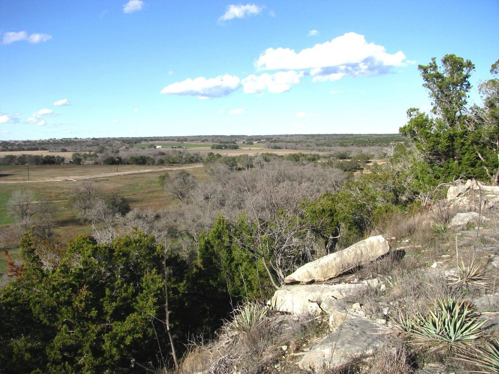 Picture 7