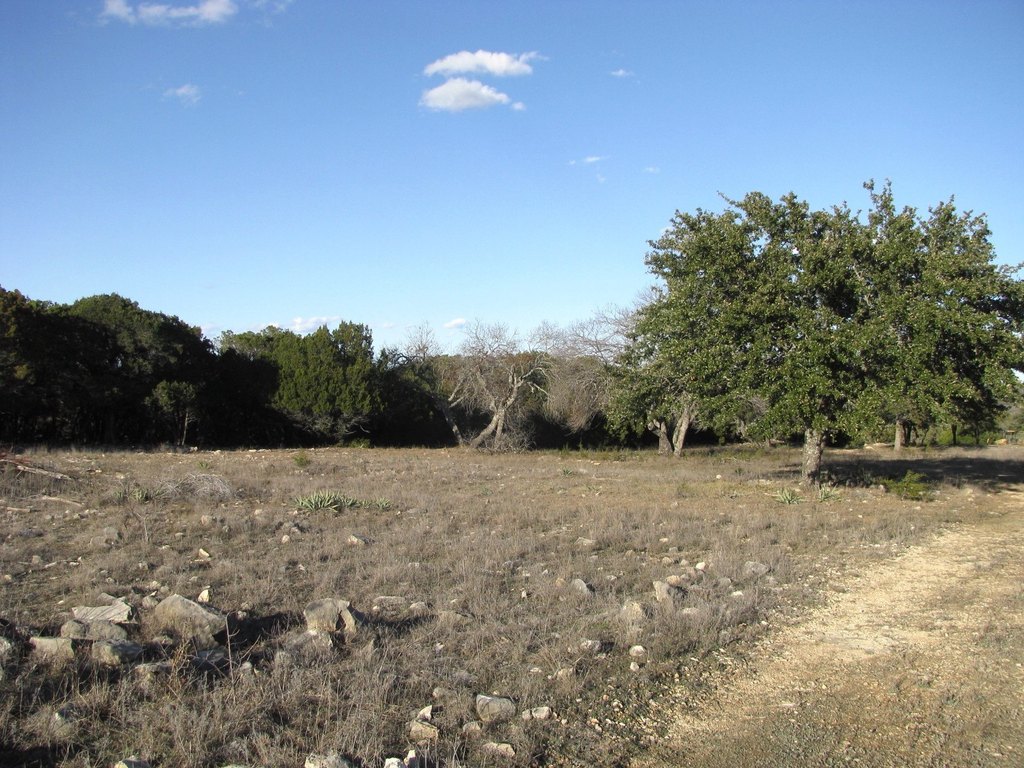 Picture 23