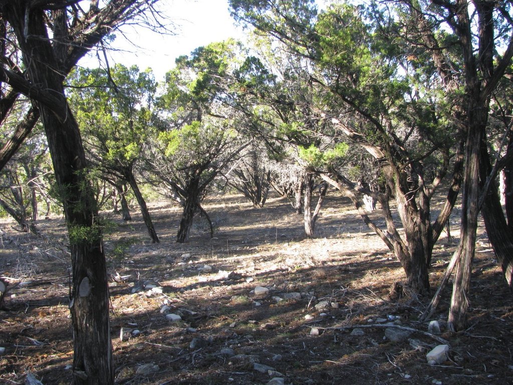 Picture 9