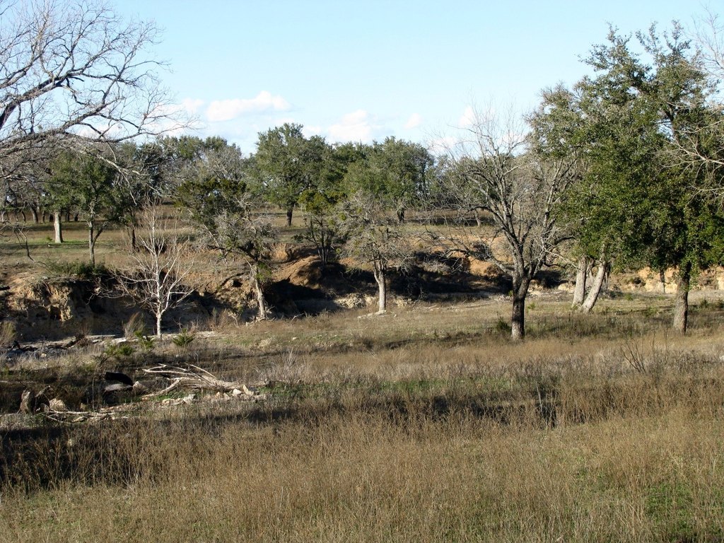 Picture 22
