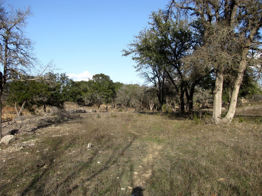 Picture 19