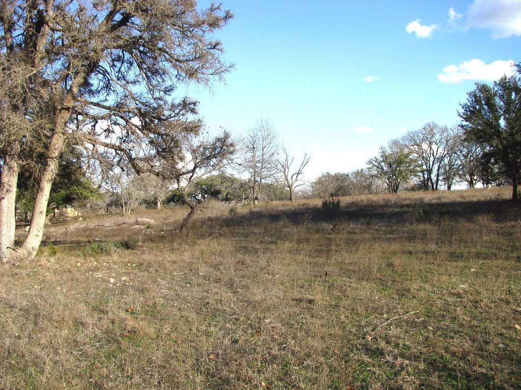 Picture 20