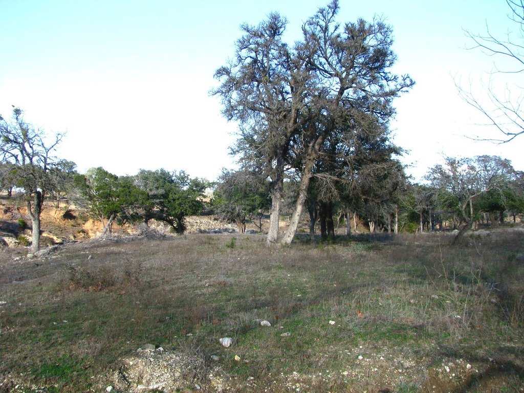 Picture 18
