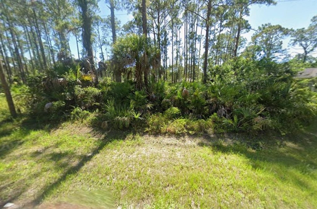 Picture 5