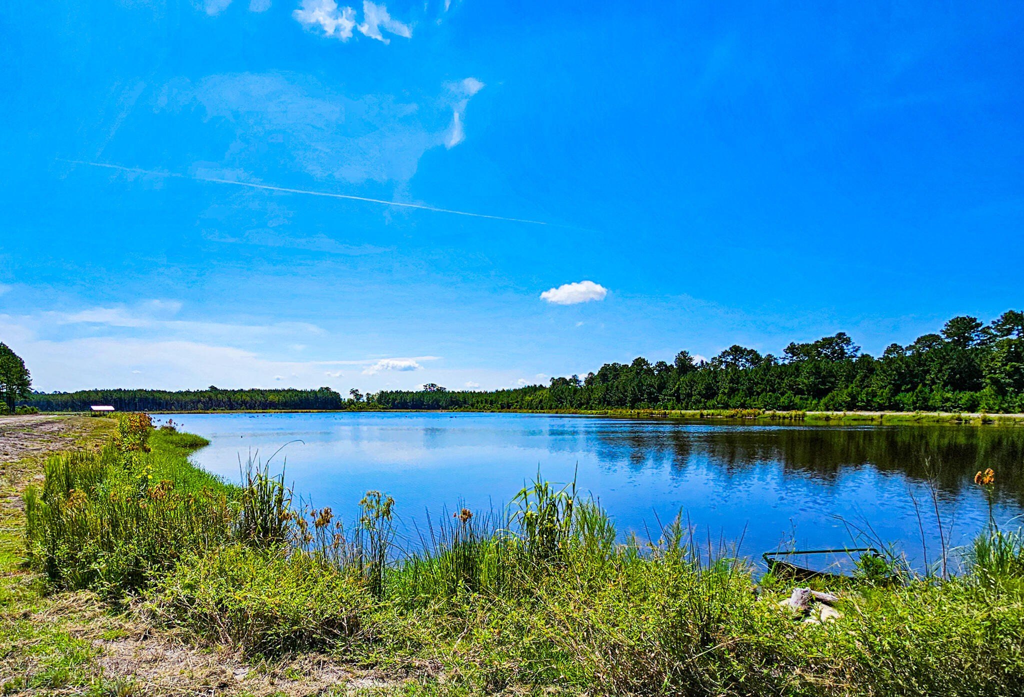Colleton County Agricultural Land