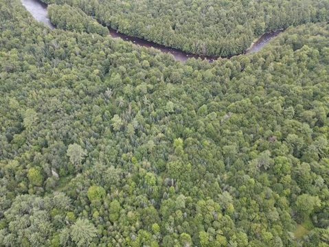Waterfront Land with Creek Frontage