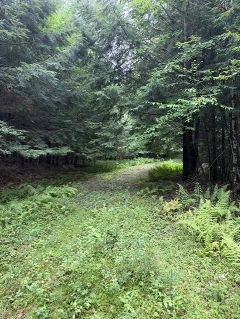 Picture 23