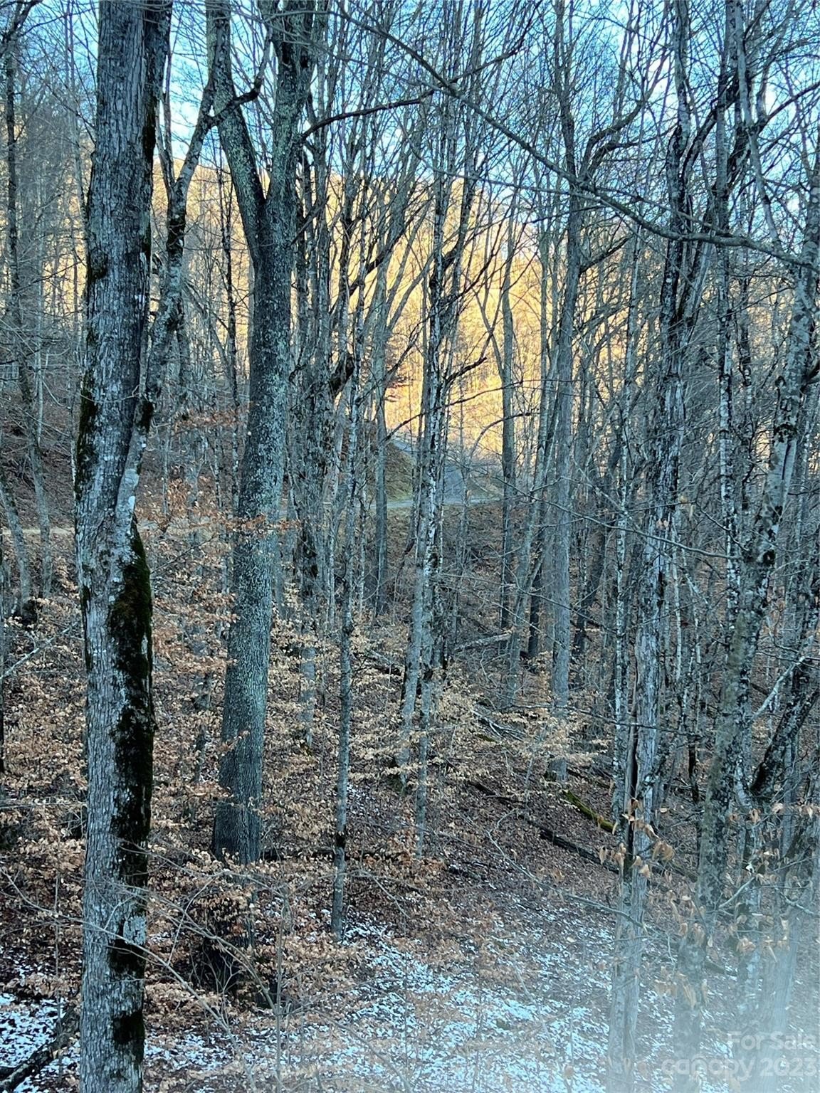 Land in Wolf Laurel Community