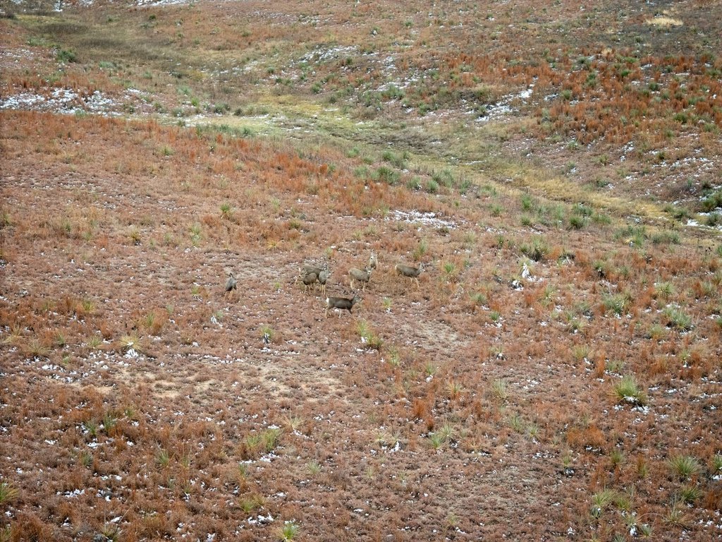 Picture 12