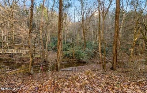 Creekside Lot in Sevierville, TN