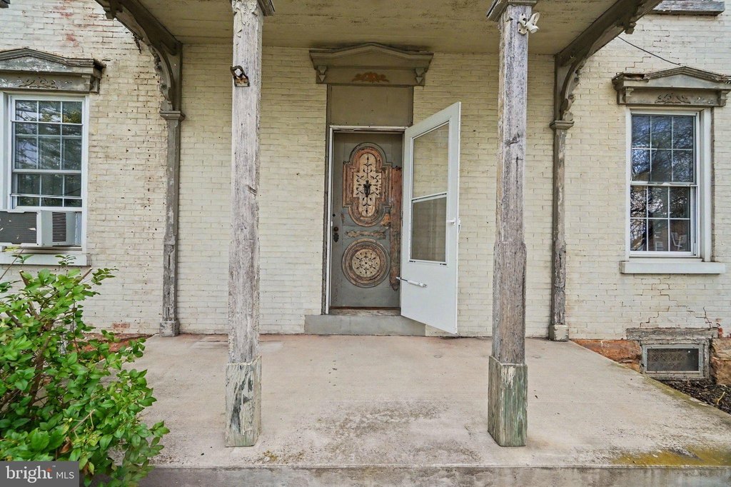 Picture 5