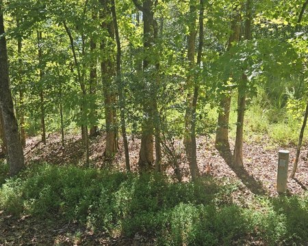 Land, Westminster, SC