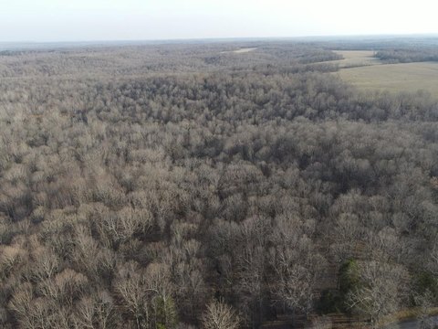 Gated Hunting Land with Cameras