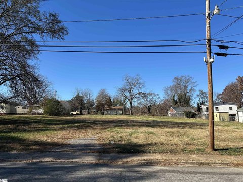 Laurens Land with Road Frontage