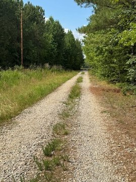 Wooded Recreational & Agricultural Land