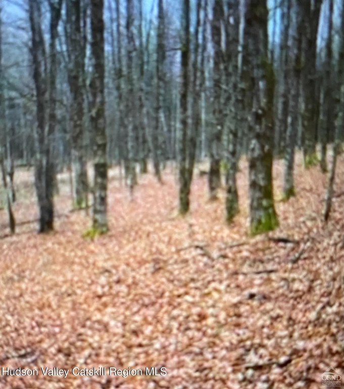 Picture 5