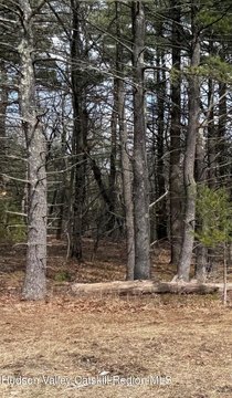 Land, Coeymans, NY