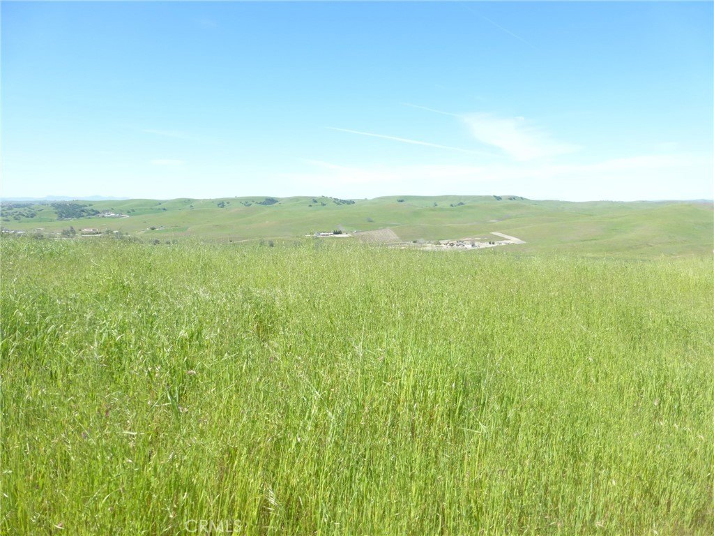 Picture 29