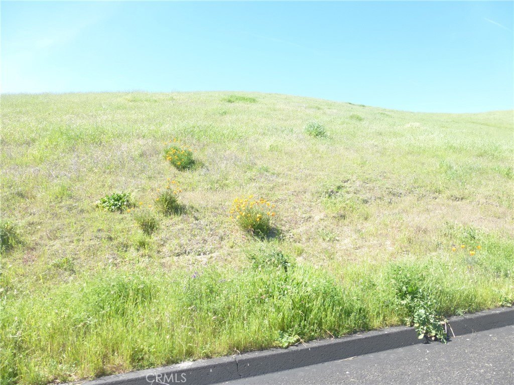 Picture 8