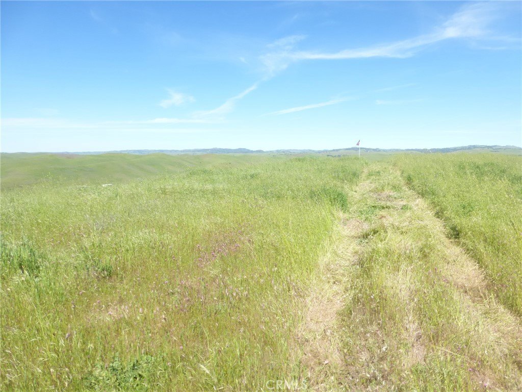 Picture 41