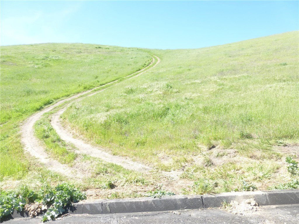 Picture 17