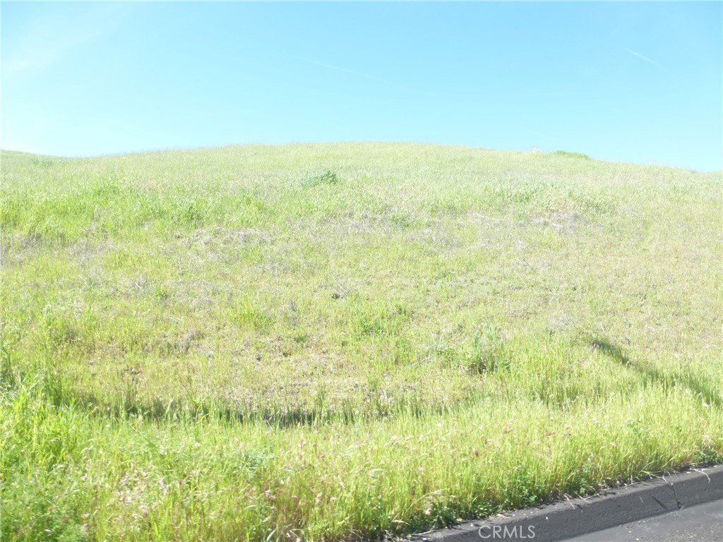 Picture 13