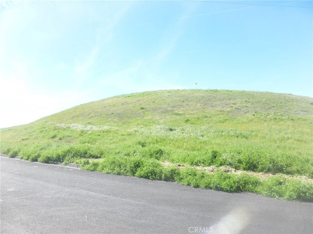 Picture 23
