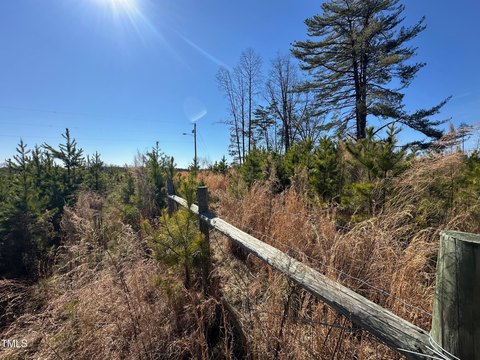 Land in Forsyth County Auction