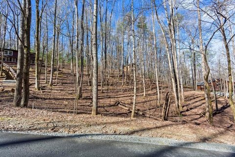LAND - Ellijay, GA