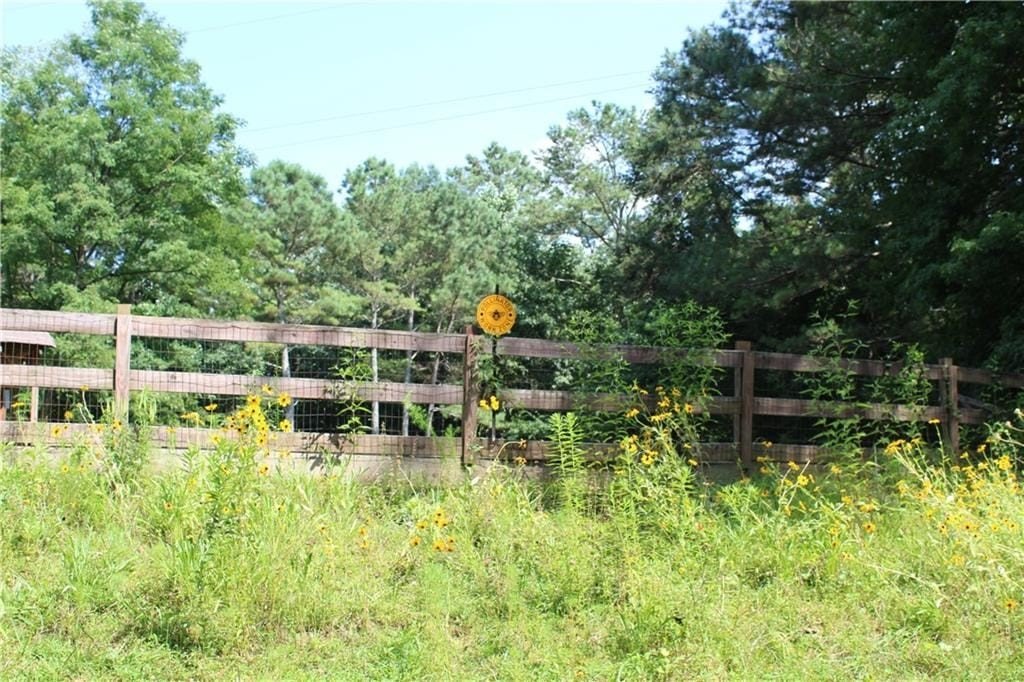 Picture 30