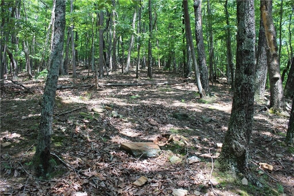 Picture 48