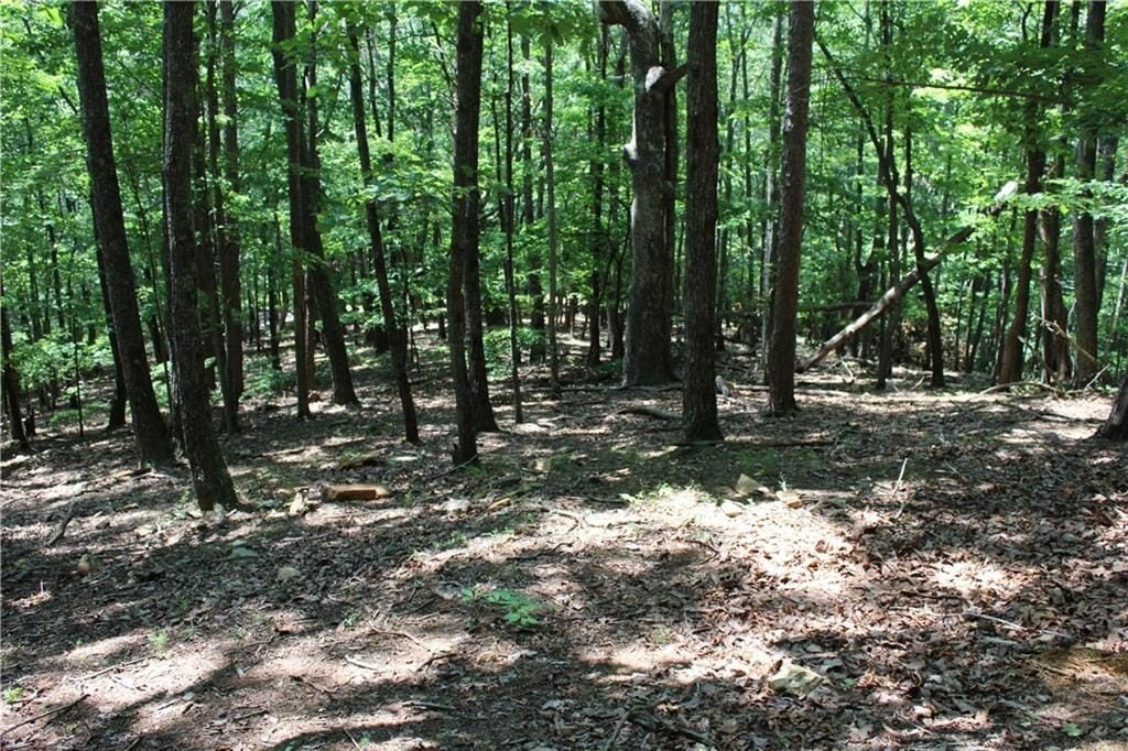 Picture 46