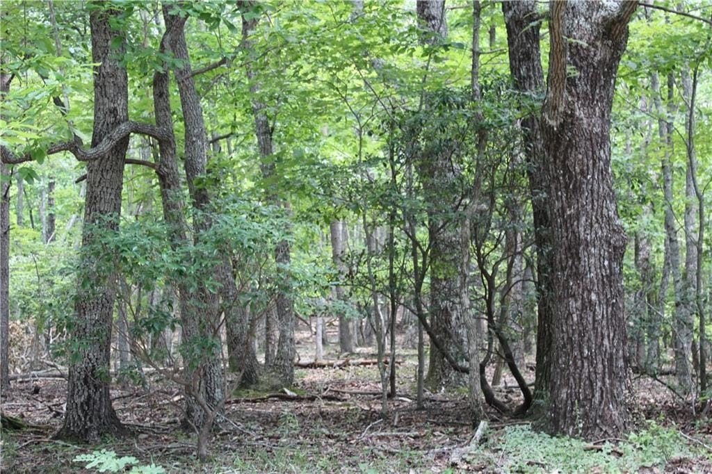Picture 40