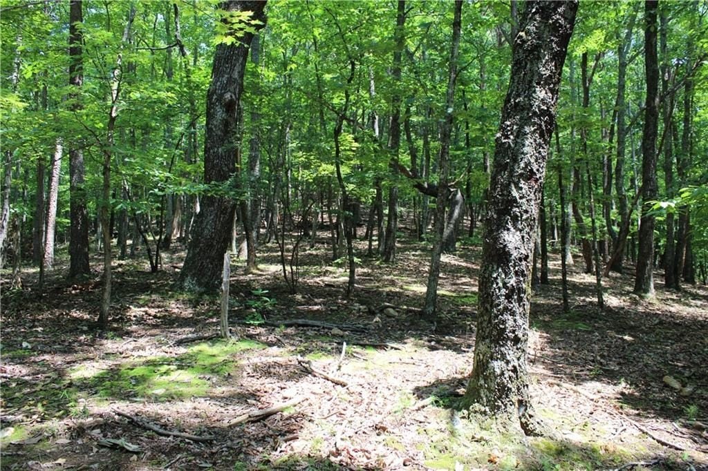 Picture 36
