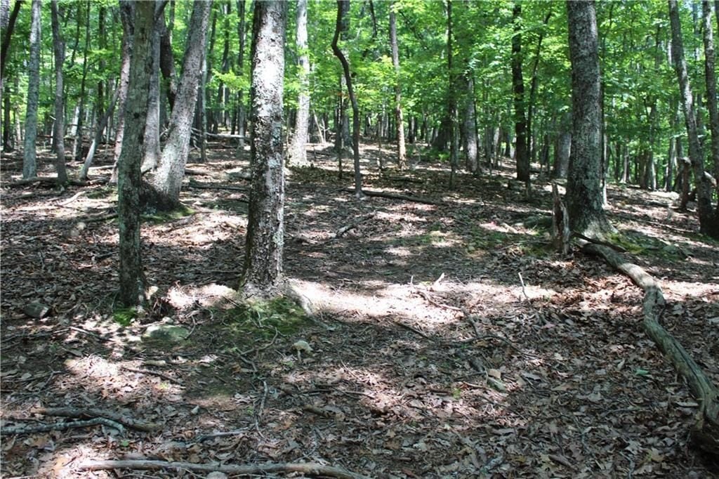 Picture 7