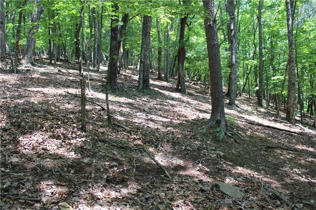 Picture 45