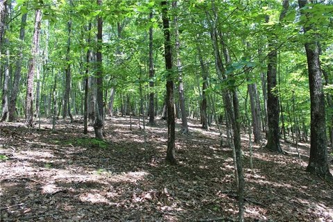 Land in Bent Tree Community