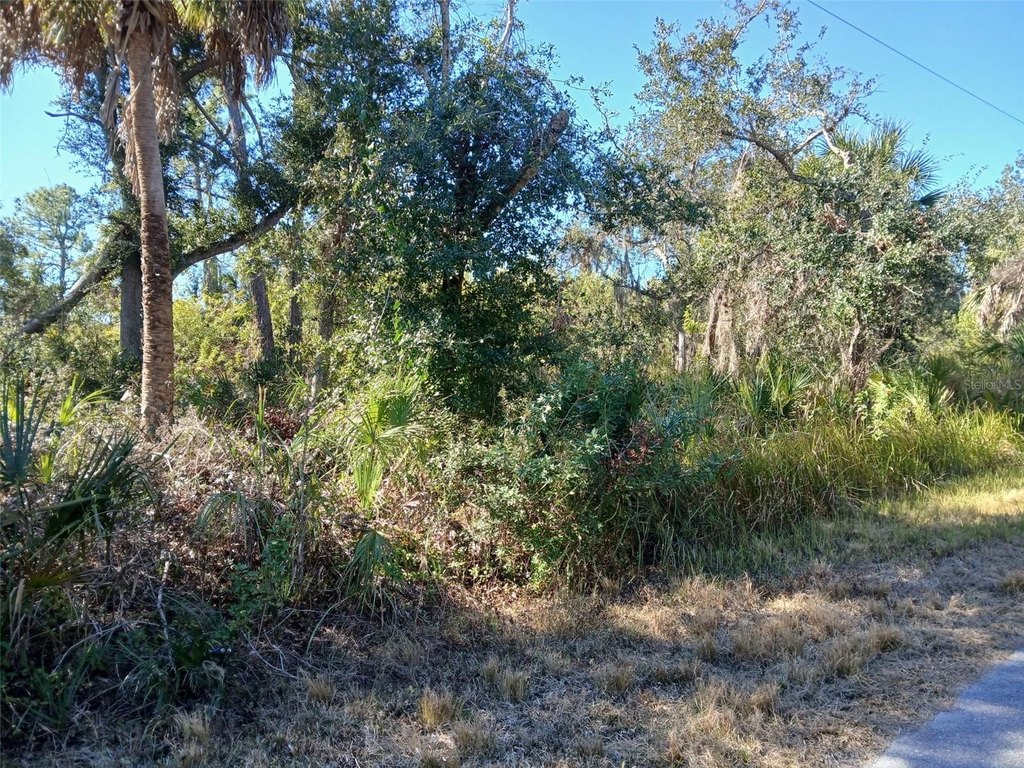 Picture 24