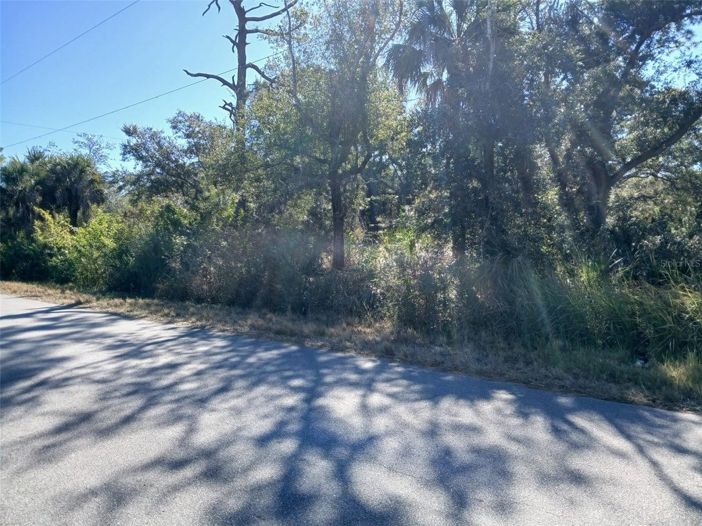 Picture 20
