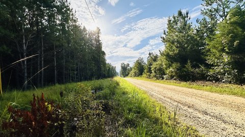 Land, Saluda, SC