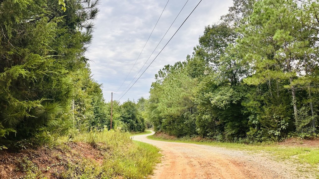 Picture 21