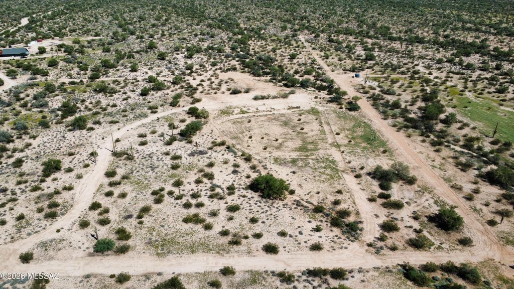 Picture 8