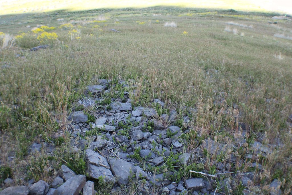 Picture 6