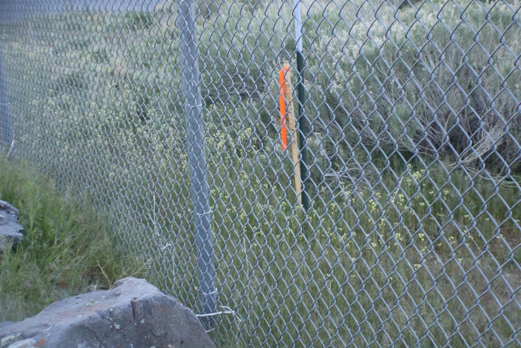 Picture 45
