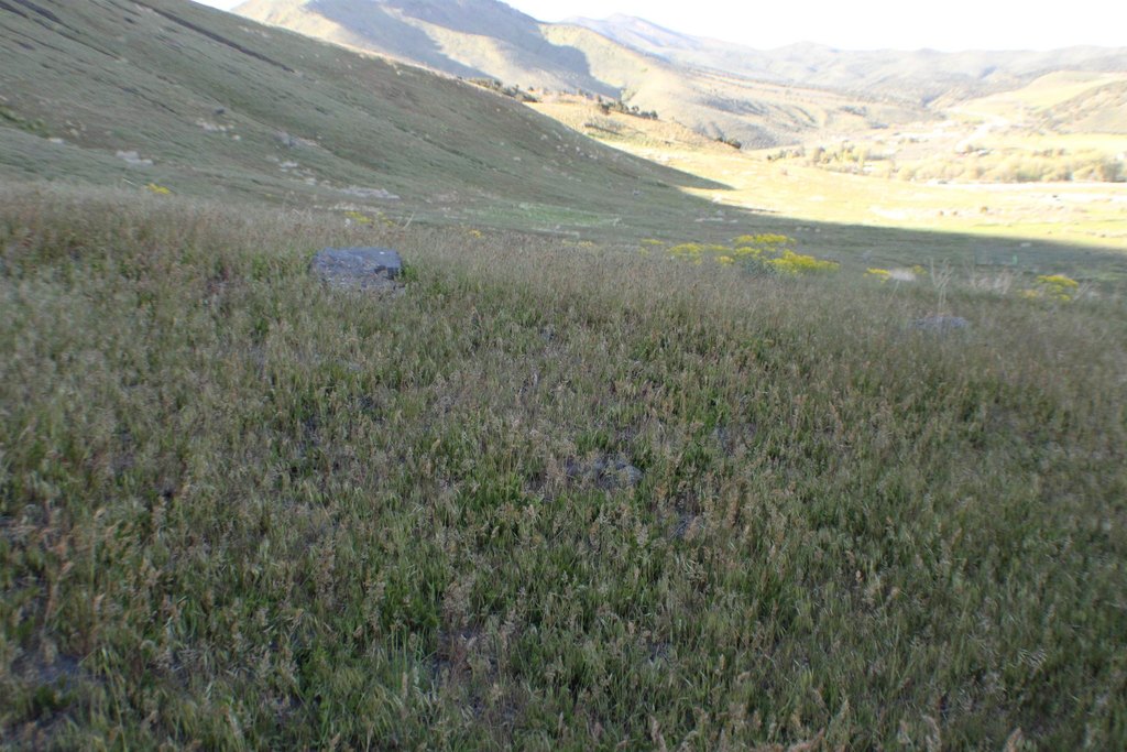 Picture 7