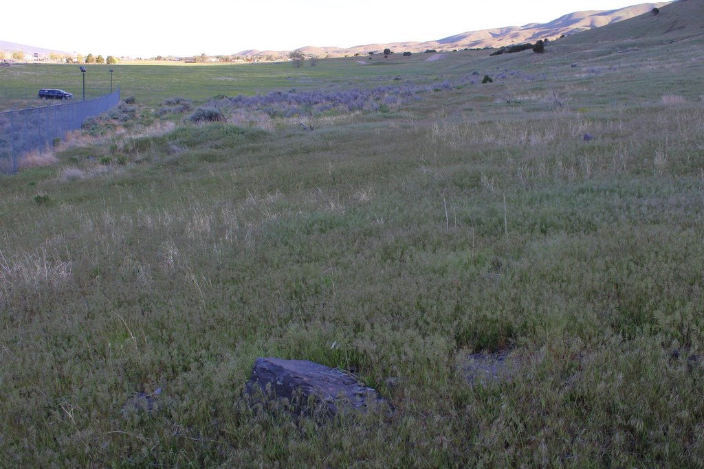 Picture 38