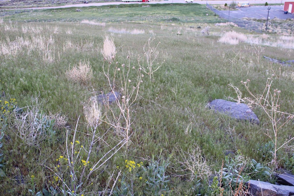 Picture 29