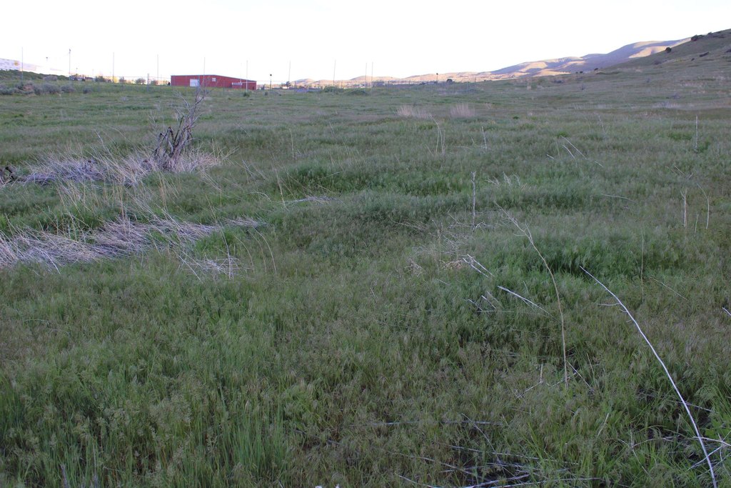 Picture 35